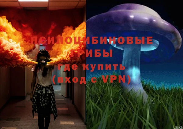 прущая мука Алексеевка
