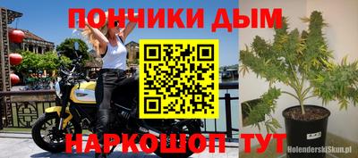 гашик Лесосибирск