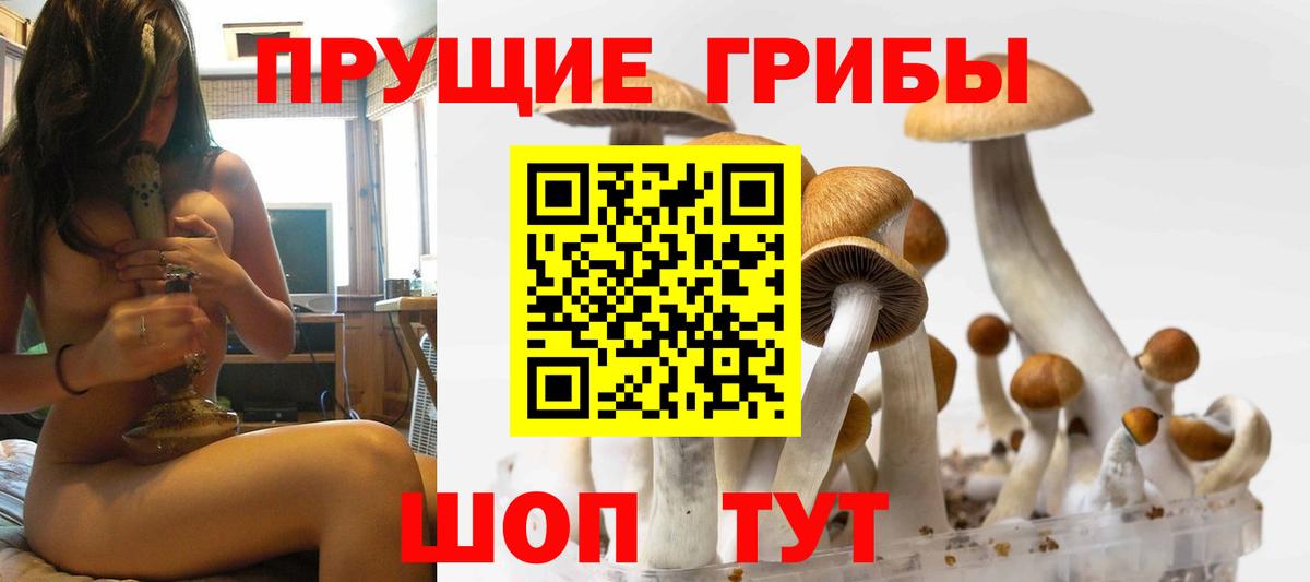 Туапсе  Галлюциногенные грибы мухоморы  Вход с VPN  Галлюциногенные грибы мухоморы 